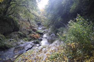 Lodges Ecogites Camparols : photos des chambres
