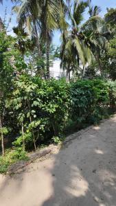 La Casa Di Nico 2 Bedroom Lotus Hse 6 - Garden View