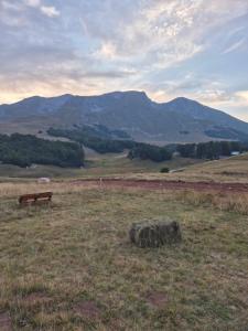 The View Smrcevo Brdo