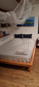 Appartements Vue mer et sur les iles d-or d-Hyeres : photos des chambres