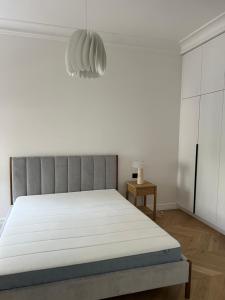 Modern apartment in city center