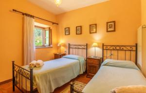 Pet Friendly Apartment