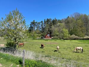 Ubytování Ranč Malenice