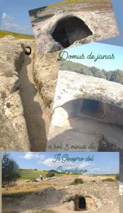 Il Ginepro del Campidano img2