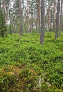 Charming modernt hus med braskamin nära Järvsö