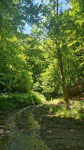 Vikendica na rancu Lisa