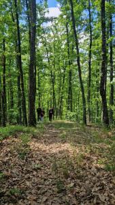 Vikendica na rancu Lisa