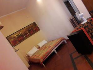 Cottage in the green