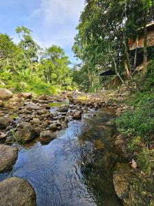 The BED Forest Camp Lansaka ฟอเรสแค้มป์ ลานสกา