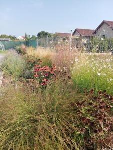 Apartment Vadrózsa, Privatgarten mit Seeblick