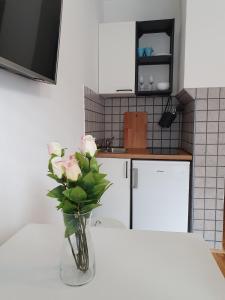 Sweet Vibes Studio at Šiška district, with Parking 