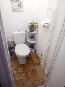 T3 apartment with balcony near the sea