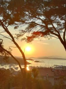 Appartements Vue mer et sur les iles d-or d-Hyeres : photos des chambres