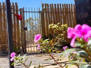 Suítes Raízes Nômades 1