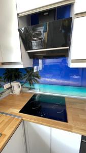 Appartements Villa familiale climatisee, proche plage & lacs : photos des chambres