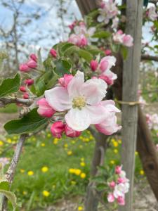 Leuchtturm - maritime Ferienwohnung in Hollern-Twielenfleth