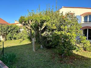 Maisons de vacances Maison avec Clim grand jardin entre plages et village : photos des chambres