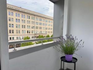 Modern and comfortable flat near Palace of Culture