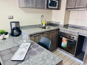 Hermoso Apartamento en la Capital de Chile