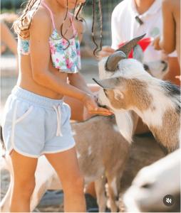 ISOLA VERDE Camping Village