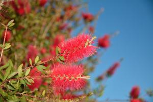 Il Borgo BagaBaga - Exclusive Country Retreat img85