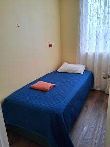 Arriendo Depto Diario Villa dulce