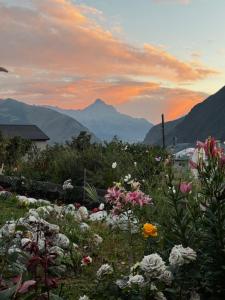 Lia Khaikashvili Guest House