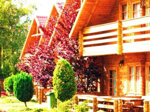 Neptun Ψ Domki Ϫϫ - Jastrzębia Góra Centrum