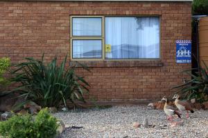 Grace Haven Self Catering