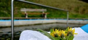 Outdoor & Relax Blackforest