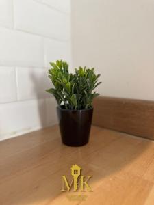 Appartements Studio Cosy Gare et centre Nancy : photos des chambres