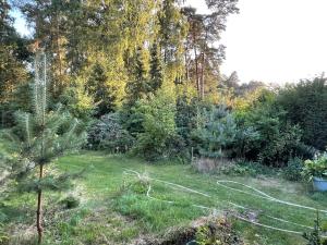 Unterkunft am Waldrand