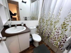 Cozy apartment with a view of the Volcanoes and Villarrica Lake