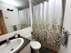 Cozy apartment with a view of the Volcanoes and Villarrica Lake