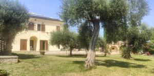 Casale Minù - Appartamento