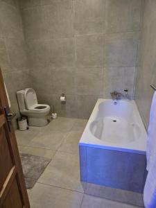 Cozy Lifestyle Guesthouse