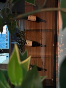 SKY PARK Above the City