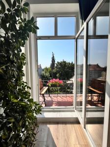 Apartament Green Loft Centrum