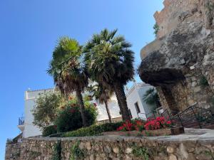 Cosy Studio in Marbella