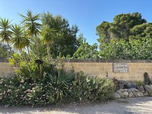 Casa Vacanze La Vecchia Brace