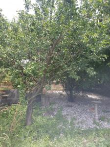 Ruhiges und familiäres Ferienhaus in Retzer Weinregion