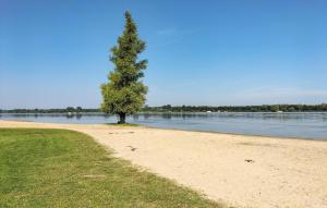 Gorgeous Home In Nijkerk With Wifi