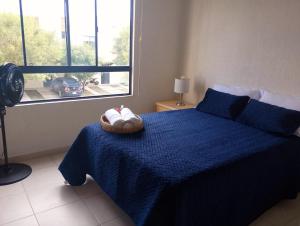 Habitación Zinfandel, Rincones del Marqués Querétaro