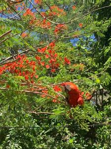 Oceana Breeze Perfect Getaway steps from the beach