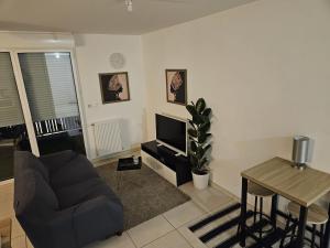 Appartements Superbe T2 Vaulx-en-Velin : photos des chambres