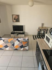 Appartements Superbe T2 Vaulx-en-Velin : photos des chambres