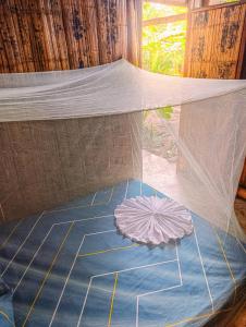 Hostal Palomino EcoHouse & Camping