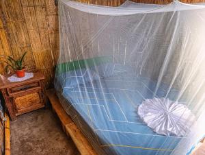 Hostal Palomino EcoHouse & Camping