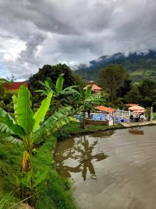 Cabaña Orquidea Campestre
