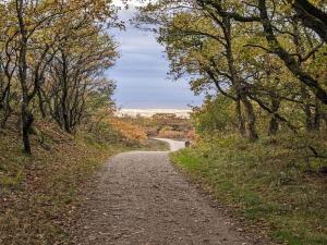 Renovated Retreat with Pool - By Traum Ferienwohnungen